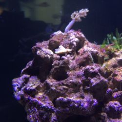 was ist das thumbnail