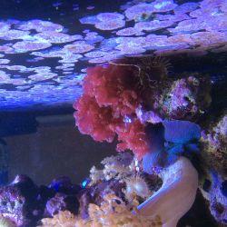 was ist das thumbnail