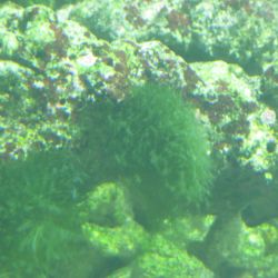 was ist das thumbnail