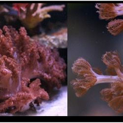 was ist das thumbnail