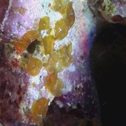 was ist das thumbnail