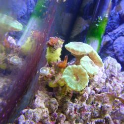 was ist das thumbnail