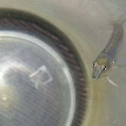 was ist das thumbnail