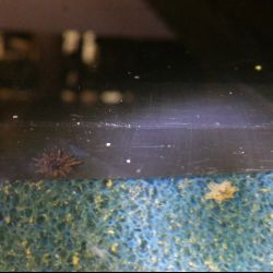 was ist das thumbnail