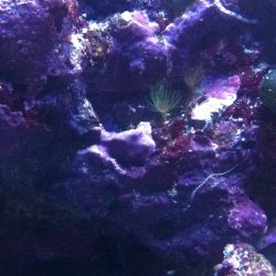 was ist das thumbnail