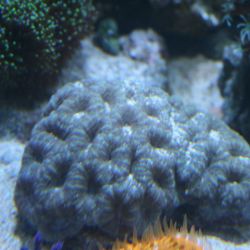 was ist das thumbnail