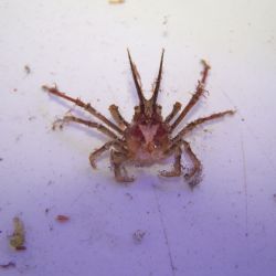 was ist das thumbnail