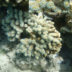 was ist das thumbnail