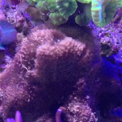 was ist das thumbnail