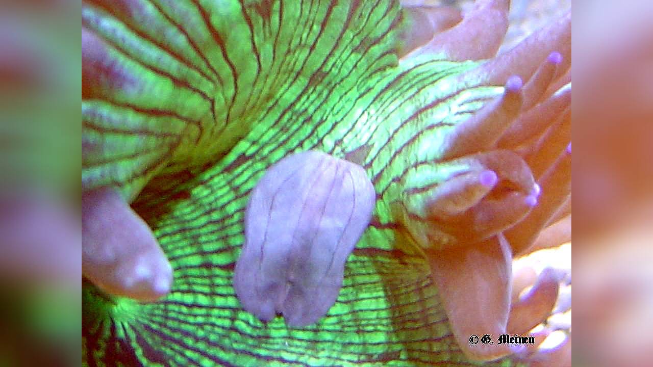 4842_RC1hEwZmzL.jpg