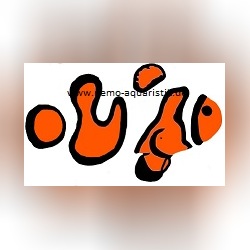 Profilbild Urheber