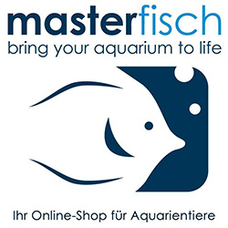 Profilbild Urheber