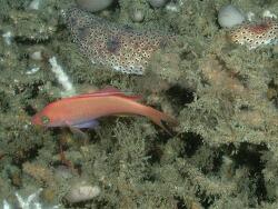 John Butler@noaa.gov 