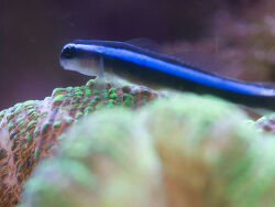 By Jmk7 - Own work, CC BY-SA 3.0, https://commons.wikimedia.org/w/index.php?curid=19736594