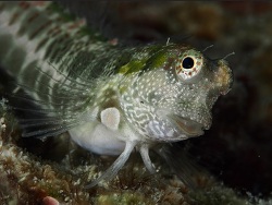 Foto: Krabi, Thailand 