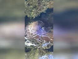 Es ist fest, Steinähnlich, aber es kann sich öffnen und schliesen......ca 10cm im durchmesser,sitzt im schatten. Eingestelltvon Peter Glaab in 