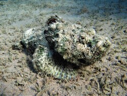 Copyright A. Röcker Ägypten Dahab