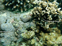 Foto: Bir Ali, Jemen