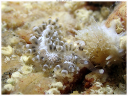 Generic placeholder thumbnail