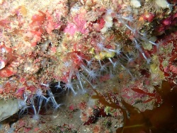 Foto: Hendaye, Frankreich, Atlantikküste