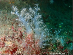 Foto: Hendaye, Frankreich, Atlantikküste