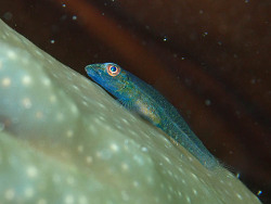 Foto: Majuro Atoll, Marshallinseln