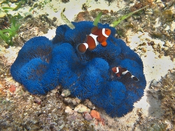 Generic placeholder thumbnail