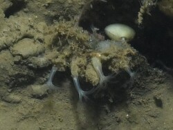 Foto: St. Anns Bank, Nova Scotia, Kanada, Nord-West-Atlantik