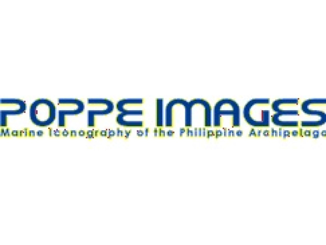 Bild der Website Poppe Images
